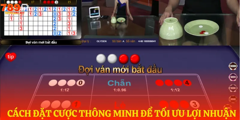 Lời khuyên đánh xóc đĩa online luôn thắng
